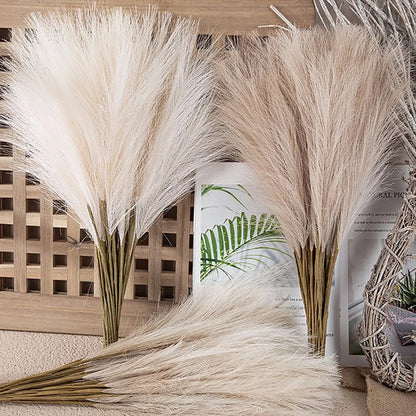 Fluffy Pampas Grass Boho Decor 5 Pcs