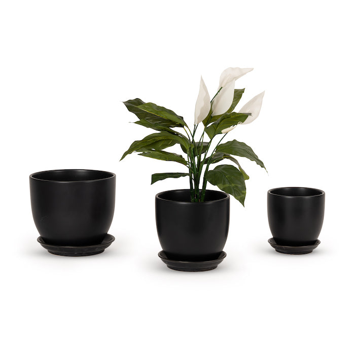 Pot Tulip Matte Black - House of Hyne