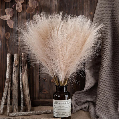 Fluffy Pampas Grass Boho Decor 5 Pcs