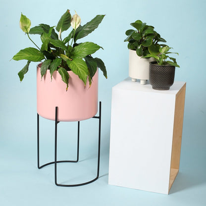 Flamingo Pink Plant Stand