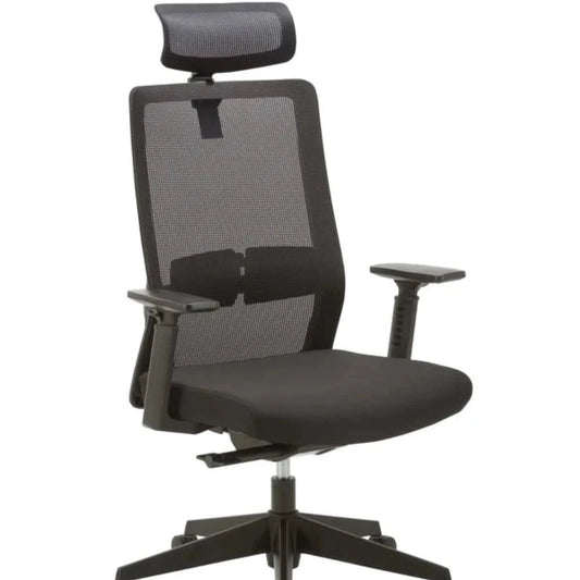 Fayron Mesh Ergonomic Office Chair with Headrest - Black