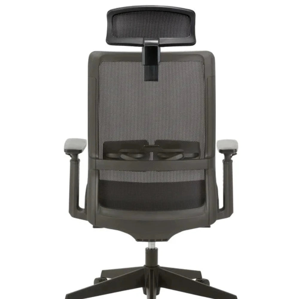 Fayron Mesh Ergonomic Office Chair with Headrest - Black-houseofhyne