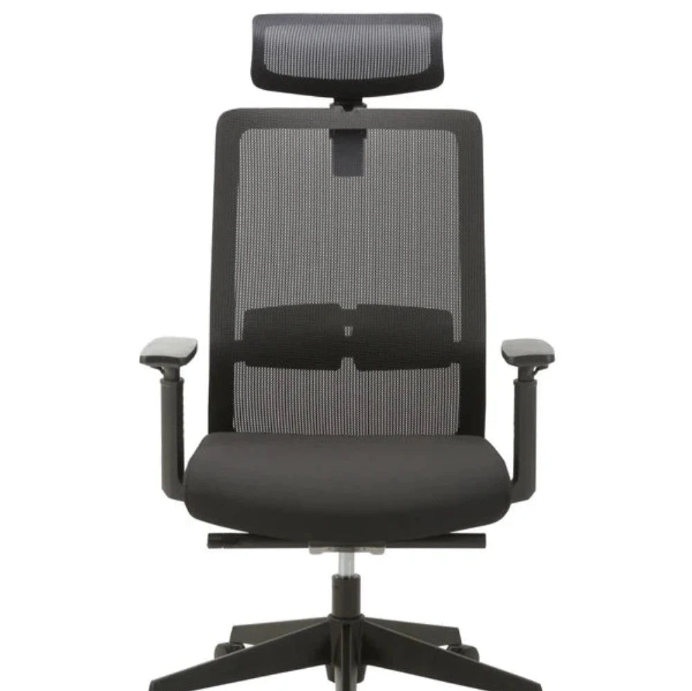 Fayron Mesh Ergonomic Office Chair with Headrest - Black-houseofhyne