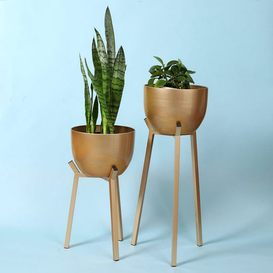 Modern Gold Plant Display Set of 2