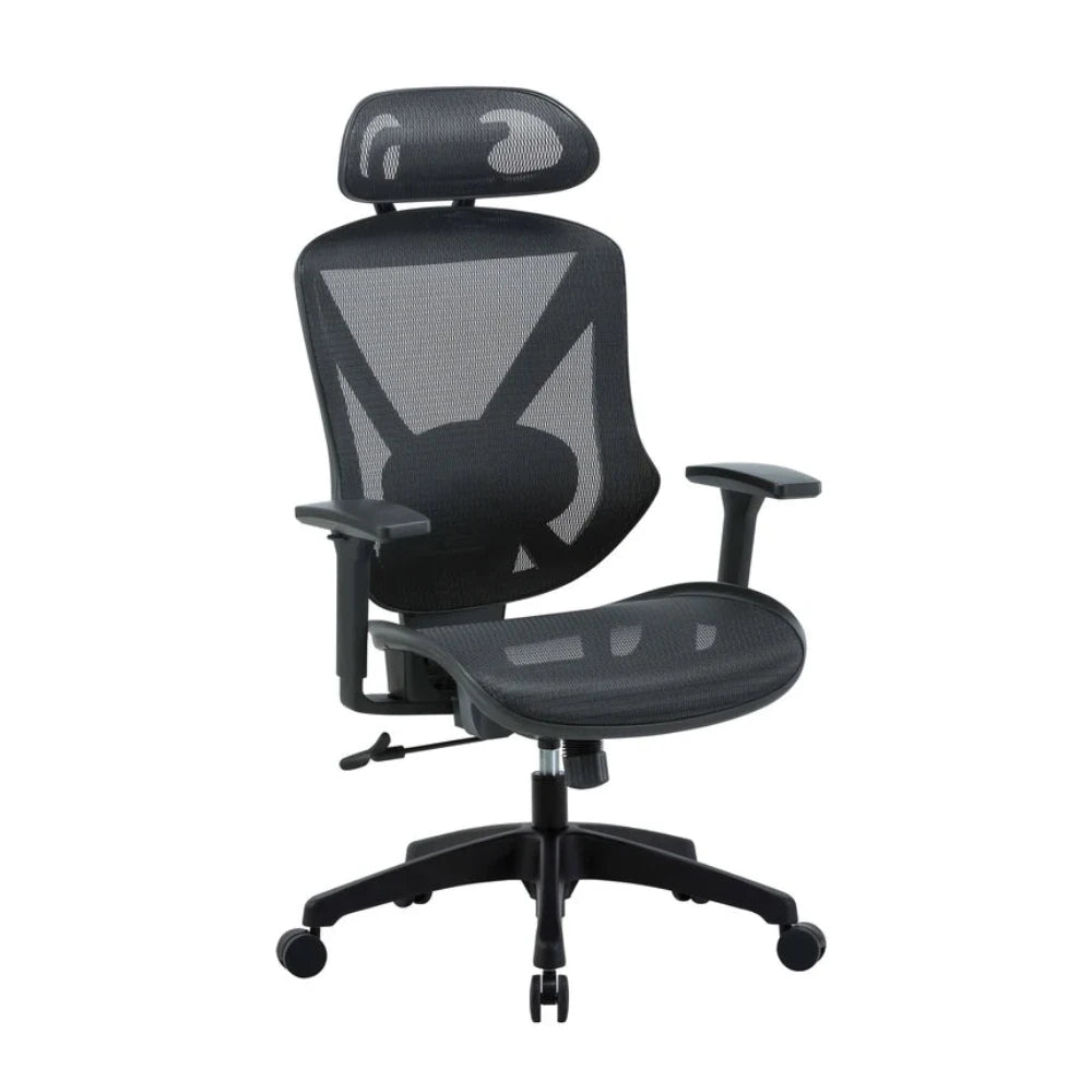 Myrlox Mesh Ergonomic Office Chair - Black-houseofhyne