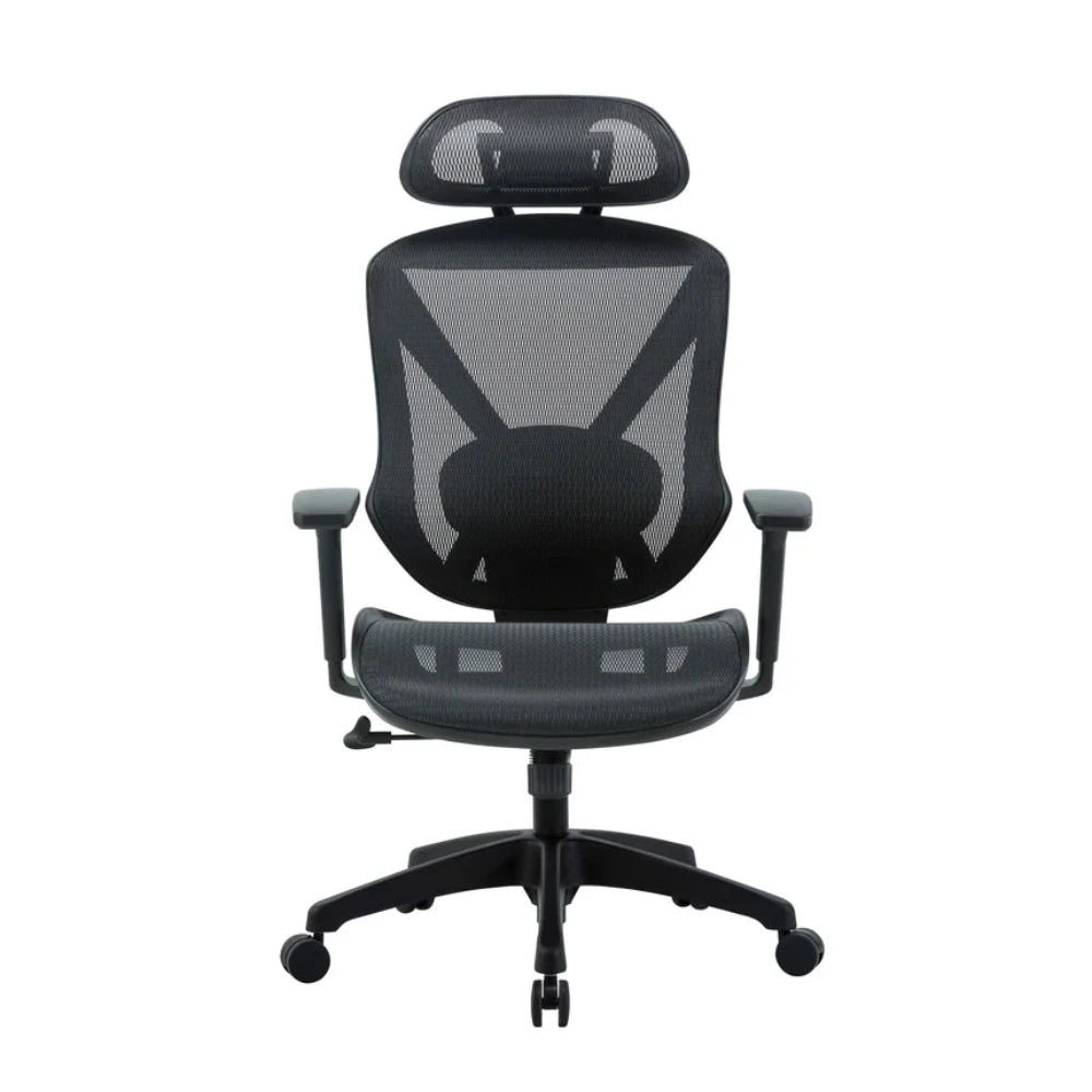 Myrlox Mesh Ergonomic Office Chair - Black-houseofhyne