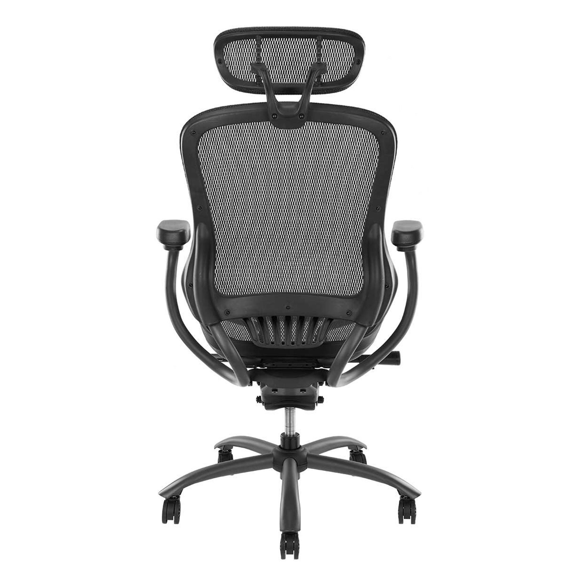 Zarnok Ergonomic Office Executive Chair With Removable Headrest-houseofhyne