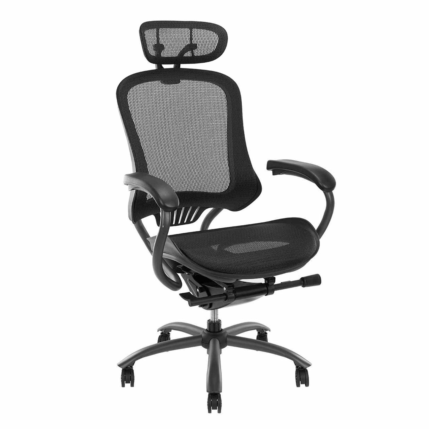 Zarnok Ergonomic Office Executive Chair With Removable Headrest-houseofhyne