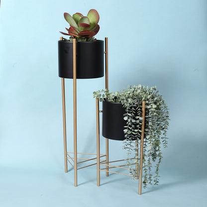 Versatile Black Two-Piece Plant Stand