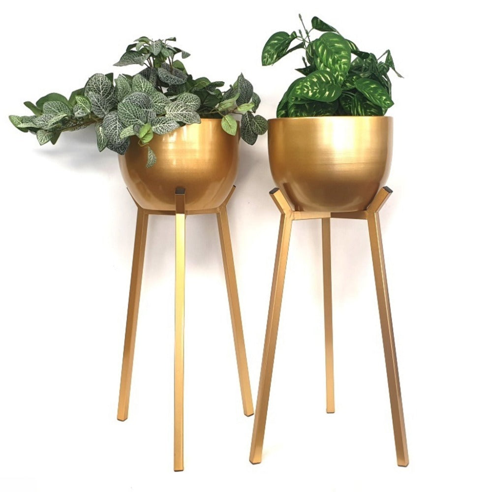 Modern Gold Plant Display Set of 2