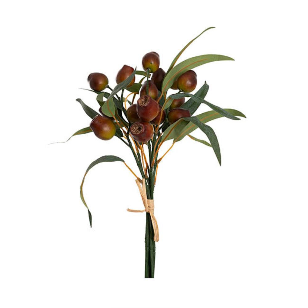 Zentar Native Eucalyptus Gumnut Bunch Brown (36cmH) Set of 5 - House of Hyne