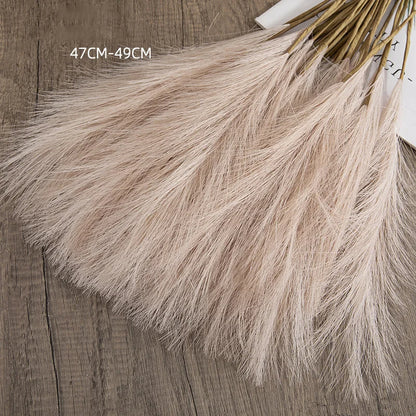 Fluffy Pampas Grass Boho Decor 5 Pcs