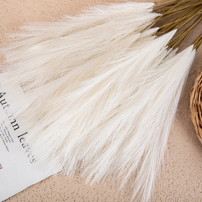 Fluffy Pampas Grass Boho Decor 5 Pcs