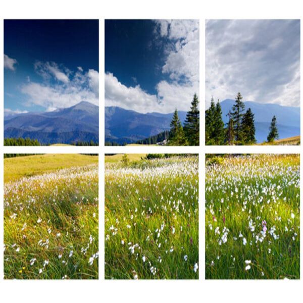 Swiss Alps in the Summer Scene Wall Art - Multicolour - Notbrand