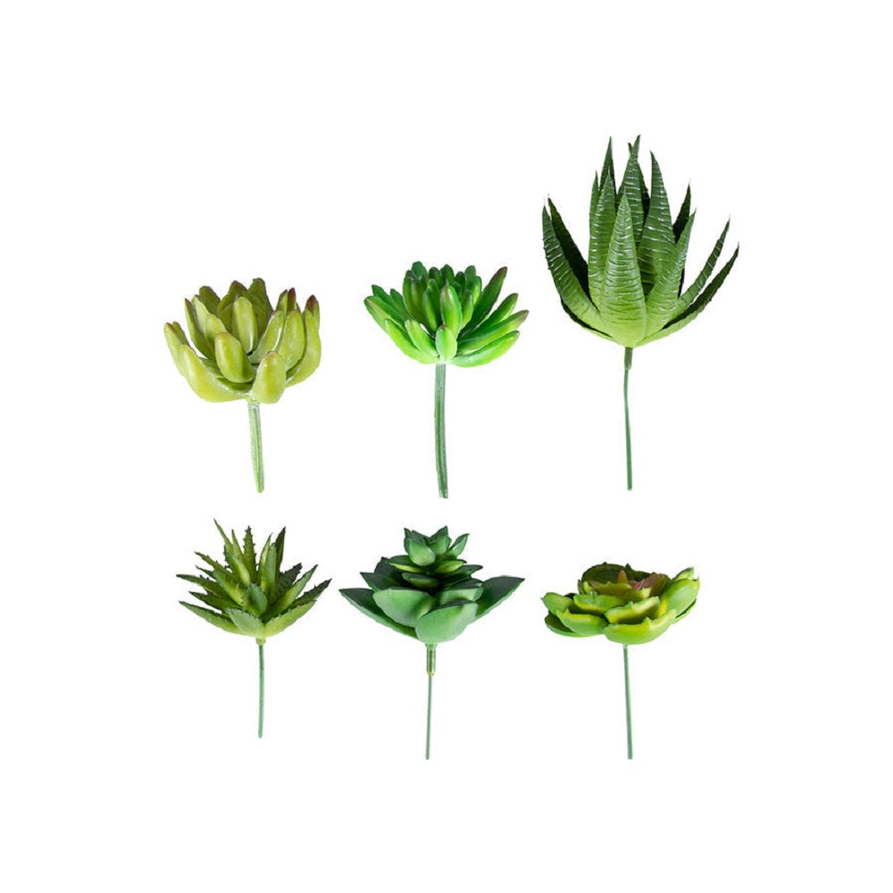 Artificial 6 Plastic Succulent Stems In Mulitcolour - Small - Notbrand