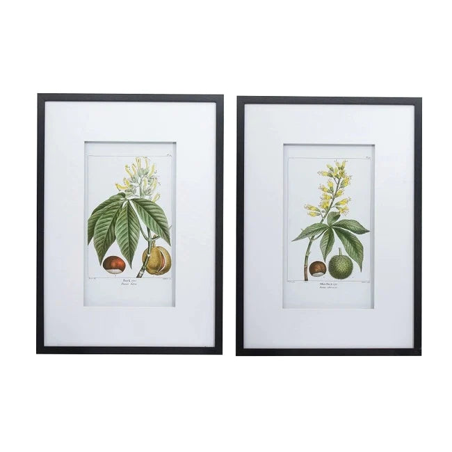 Set of 2 Leaves Flowers & Fruit Wall Art - Notbrand