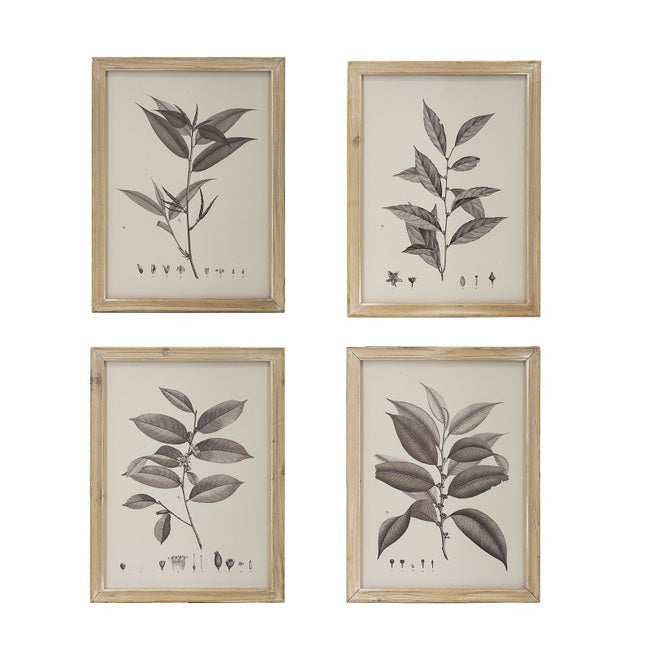 Set of 4 Botanical Wall Décor - Notbrand