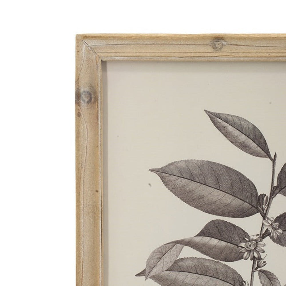 Set of 4 Botanical Wall Décor - Notbrand