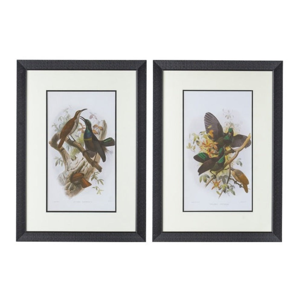 Set of 2 Birds Wall Art - Notbrand