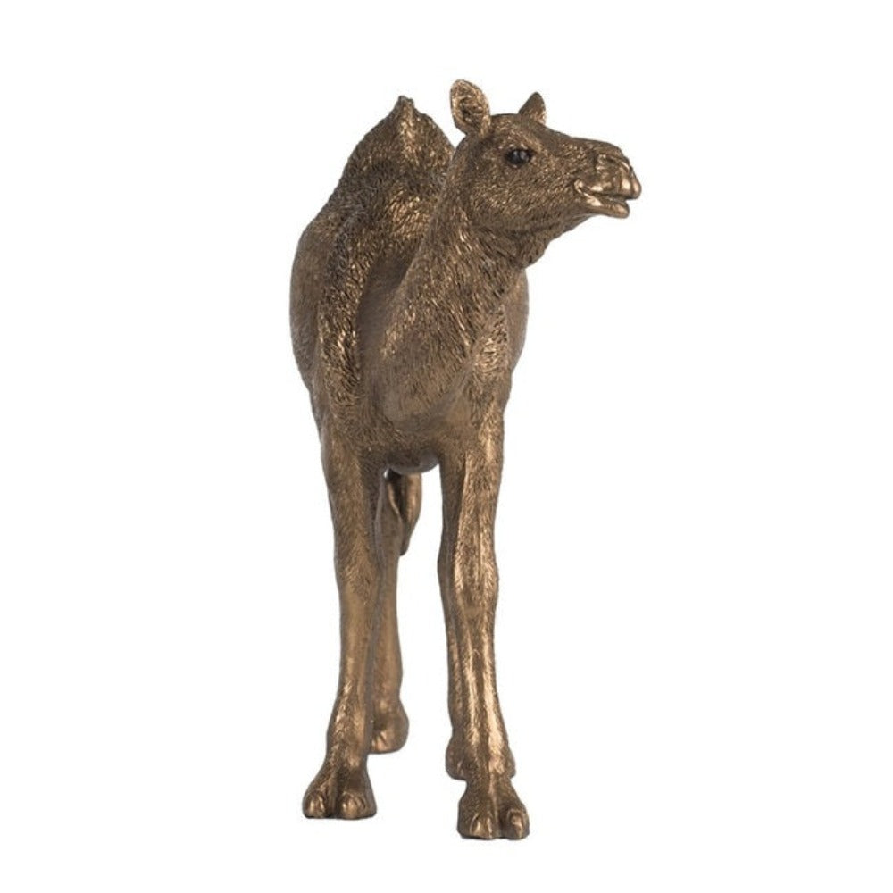 Polyresin Camel Statue - Copper - Notbrand