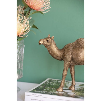 Polyresin Camel Statue - Copper - Notbrand