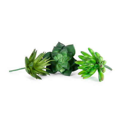 Artificial 6 Plastic Succulent Stems In Mulitcolour - Small - Notbrand