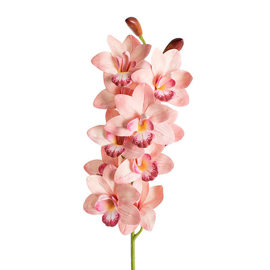 Set of 5 Real Look Cymbidium Orchid Spray - Soft Pink - Notbrand