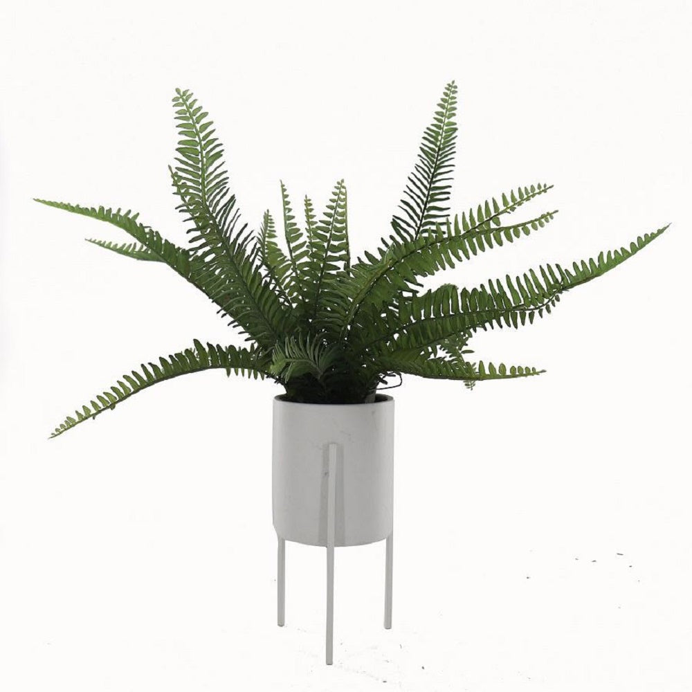 Wyatt Artificial Boston Fern In Ceramic Pot Stand - White - Notbrand