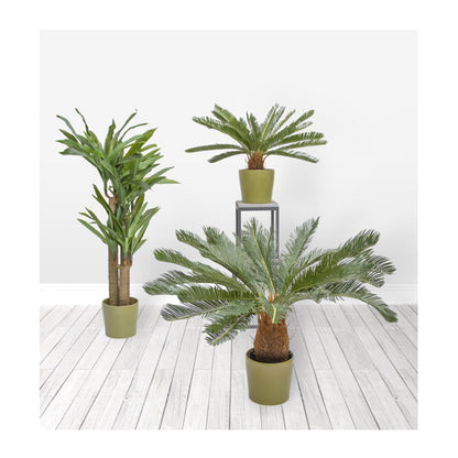 Artificial Cycas Palm Potted Green (70cm) - Notbrand