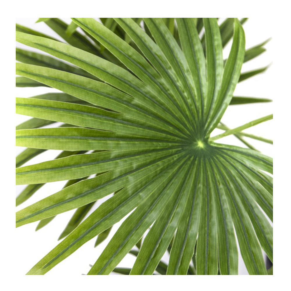 Artificial Fan Palm Potted Plant Real Touch (90cmH) - Notbrand