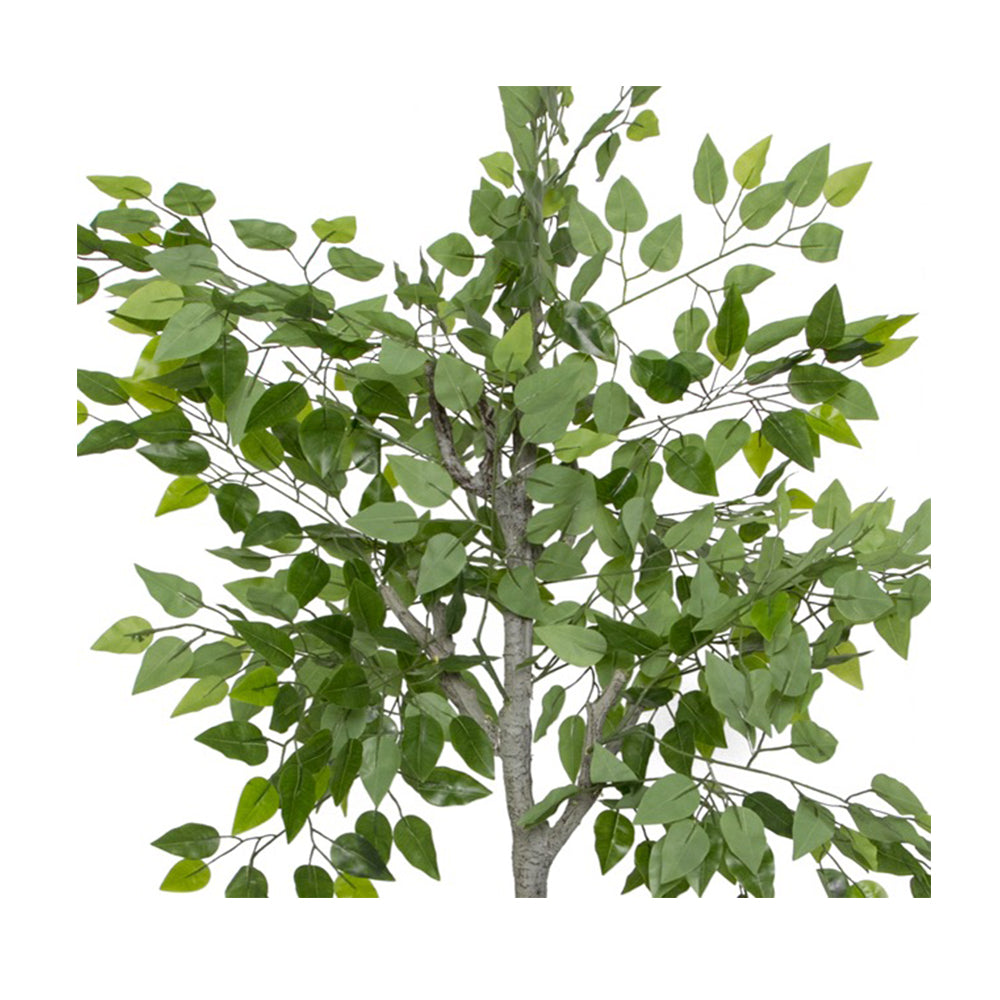 Artificial Ficus Tree Potted Green (150cmH) - Notbrand