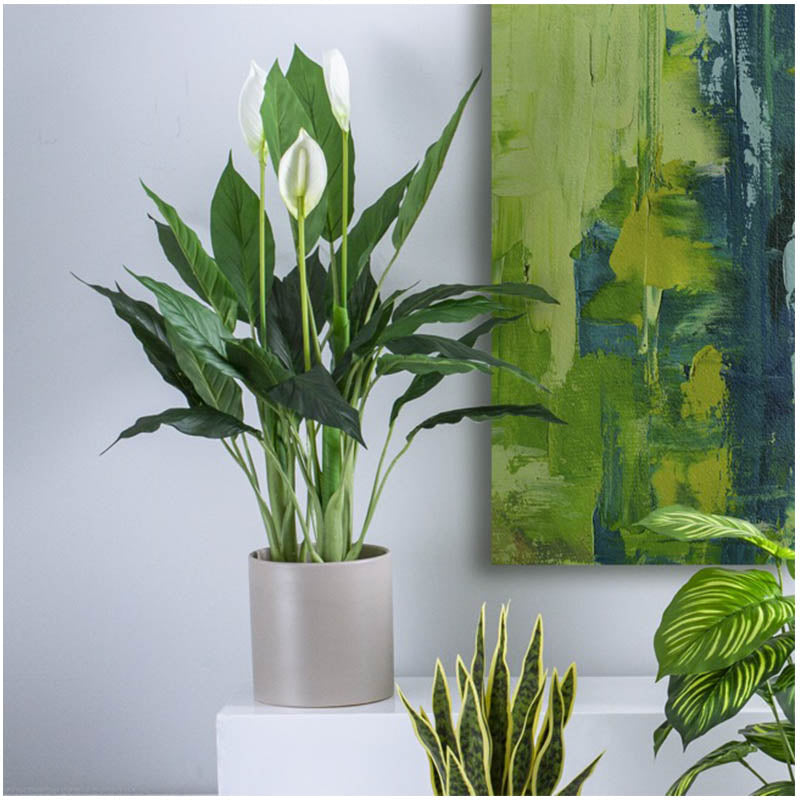 Artificial Spathiphyllum Plant Potted Green (96cm) - Notbrand