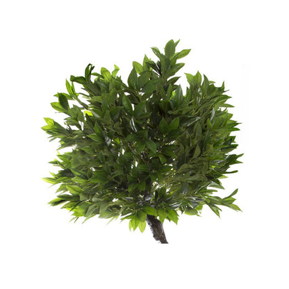 Artificial Topiary Tree Laurel Leaf Potted Green (160cmH) - Notbrand