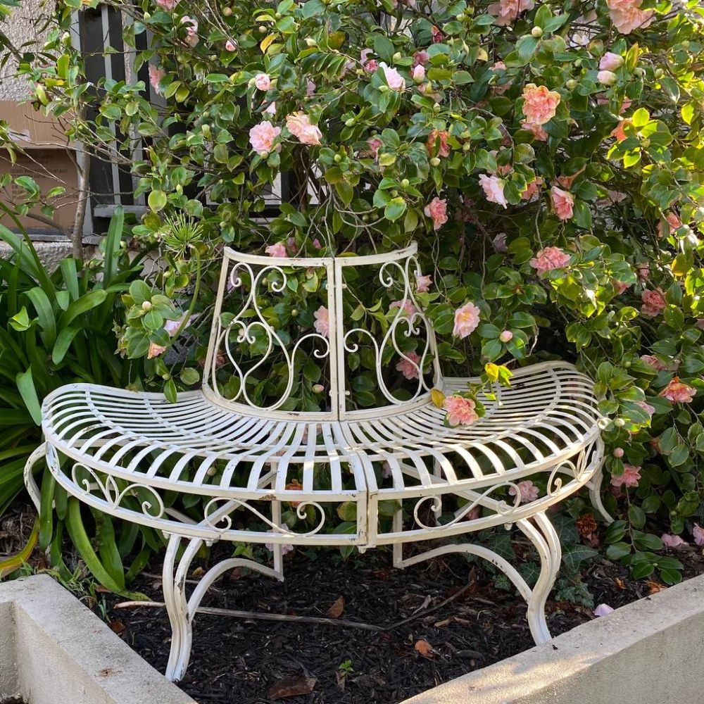 Distressed Antique White Half Tree Surround Bench Seat - NotBrand