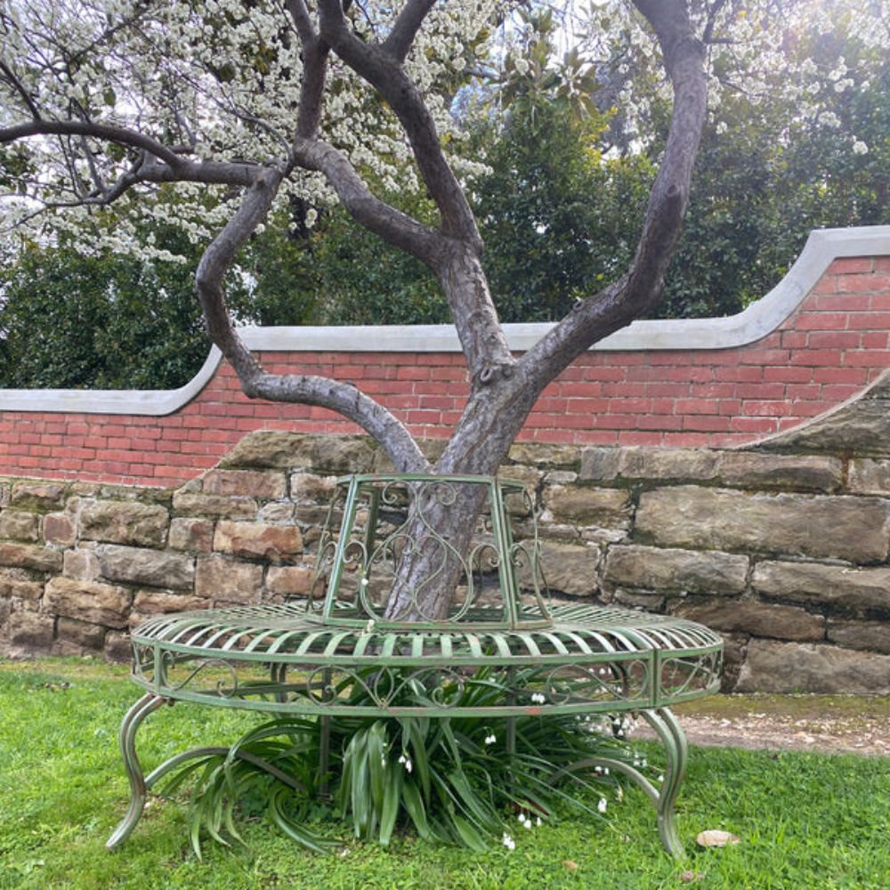 Distressed Green Tree Iron Bench  - House of Hyne