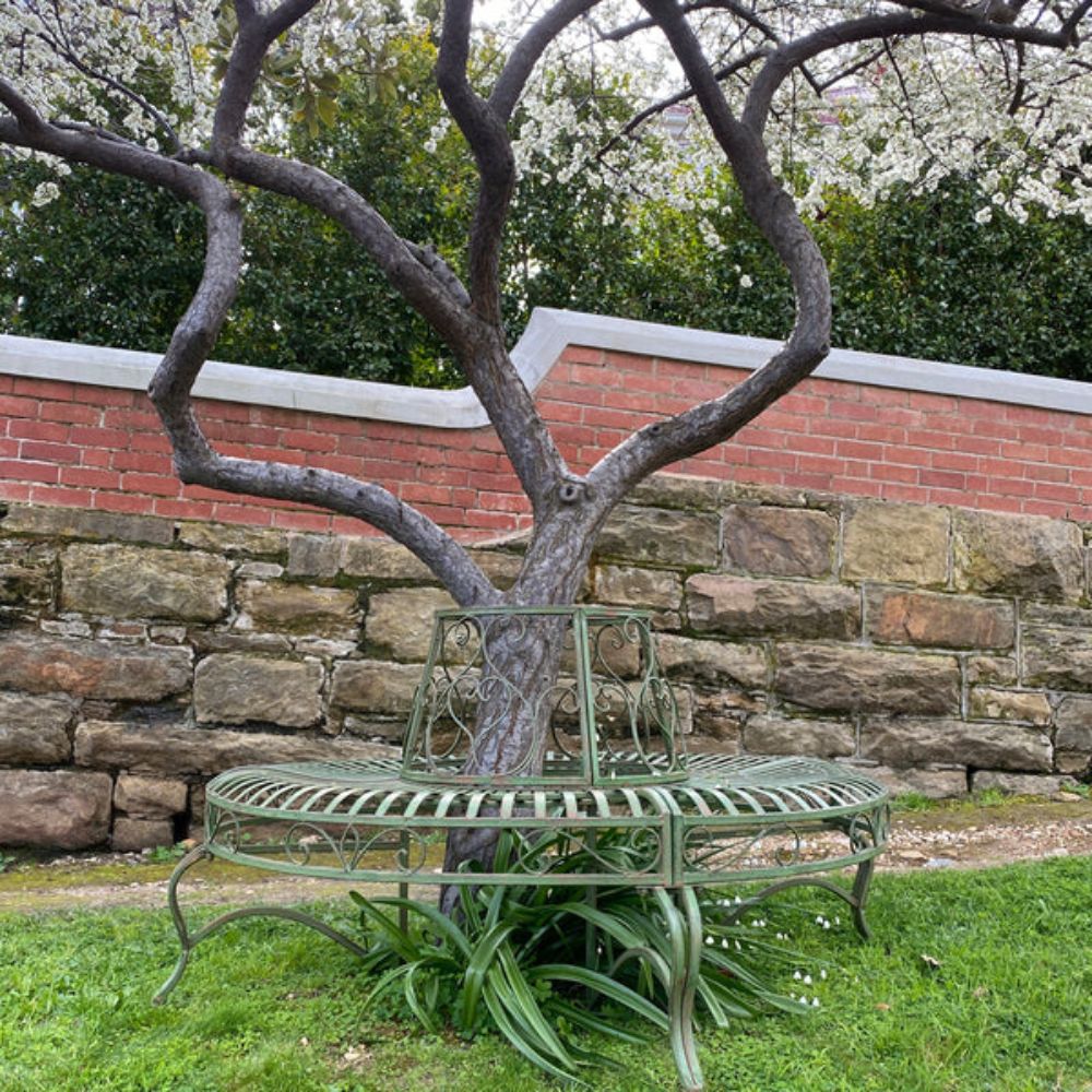 Distressed Green Tree Iron Bench  - House of Hyne