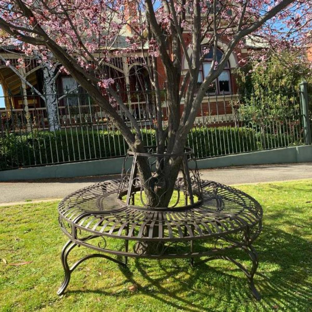 Earth Tone Tree Surround Iron Bench  - House of Hyne