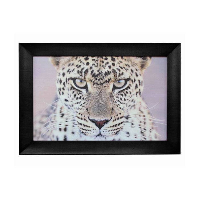 Portrait Leopard Wall Art - Notbrand