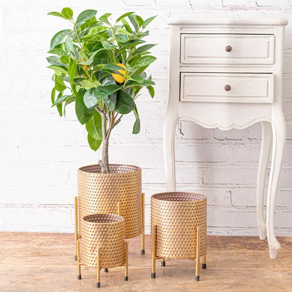 Set of 2 Pressed Metal Planter with Rack in Gold - Medium - Notbrand