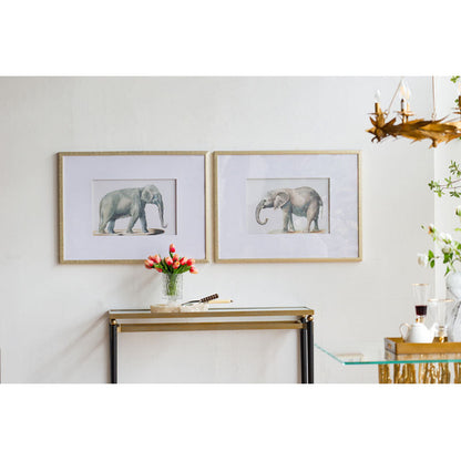 Set of 2 Elephant Framed Prints Wall Art - Notbrand