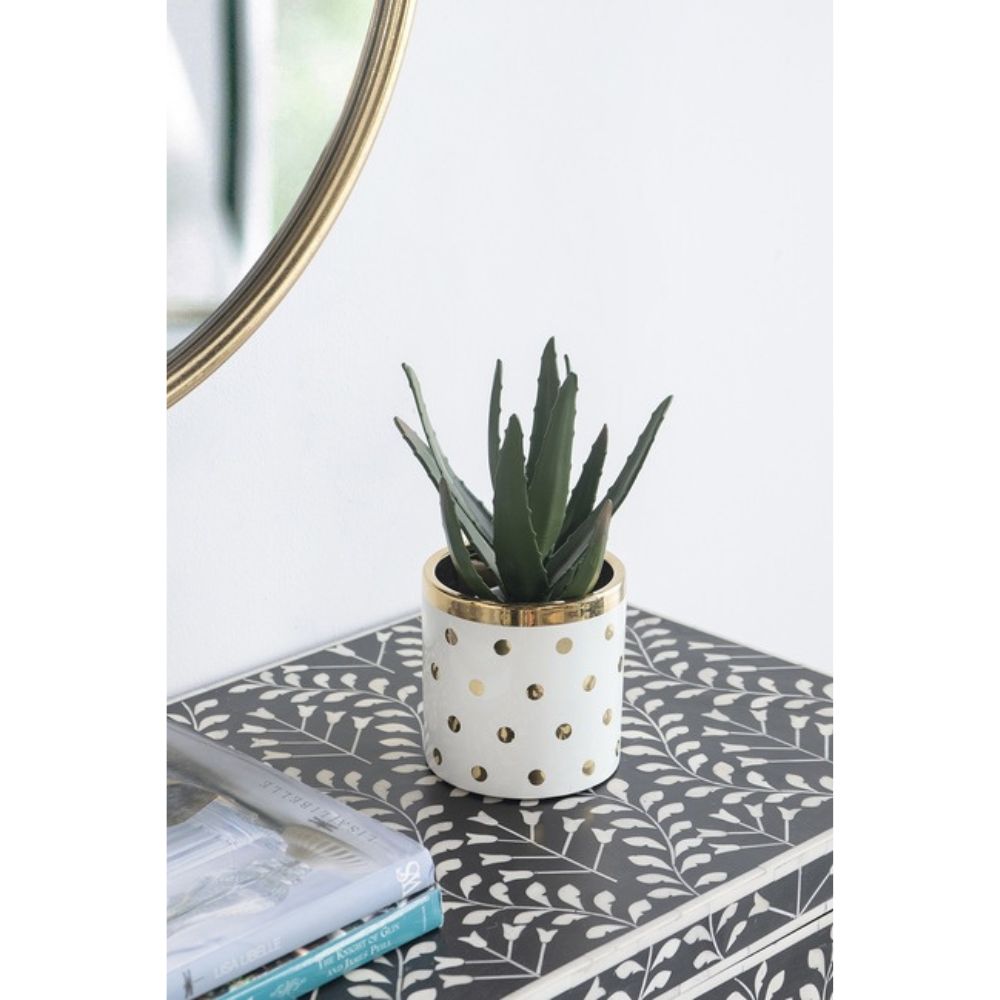 Navya Ceramic Polka Dots Planter - Golden - Notbrand