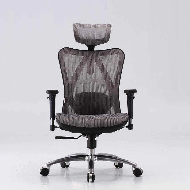 Sihoo M57 Ergonomic Office Chair with Adjustable Back - Grey - Notbrand