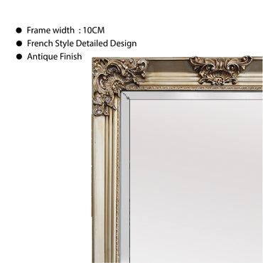 Deluxe French Provincial Ornate Mirror - Champagne - Notbrand