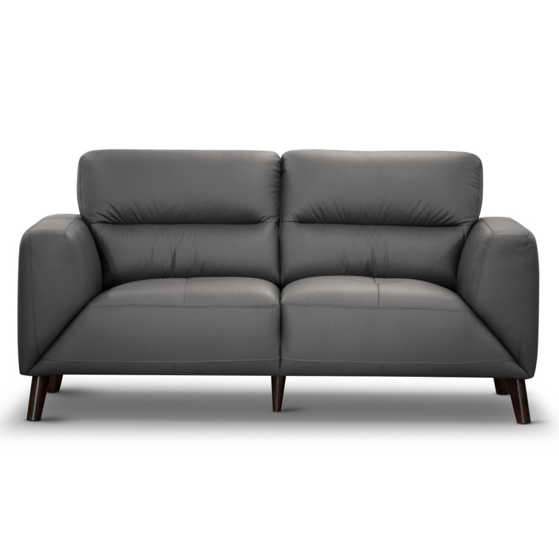 Gunmetal Genuine Leather 2-Seater Upholstered Sofa - House of Hyne