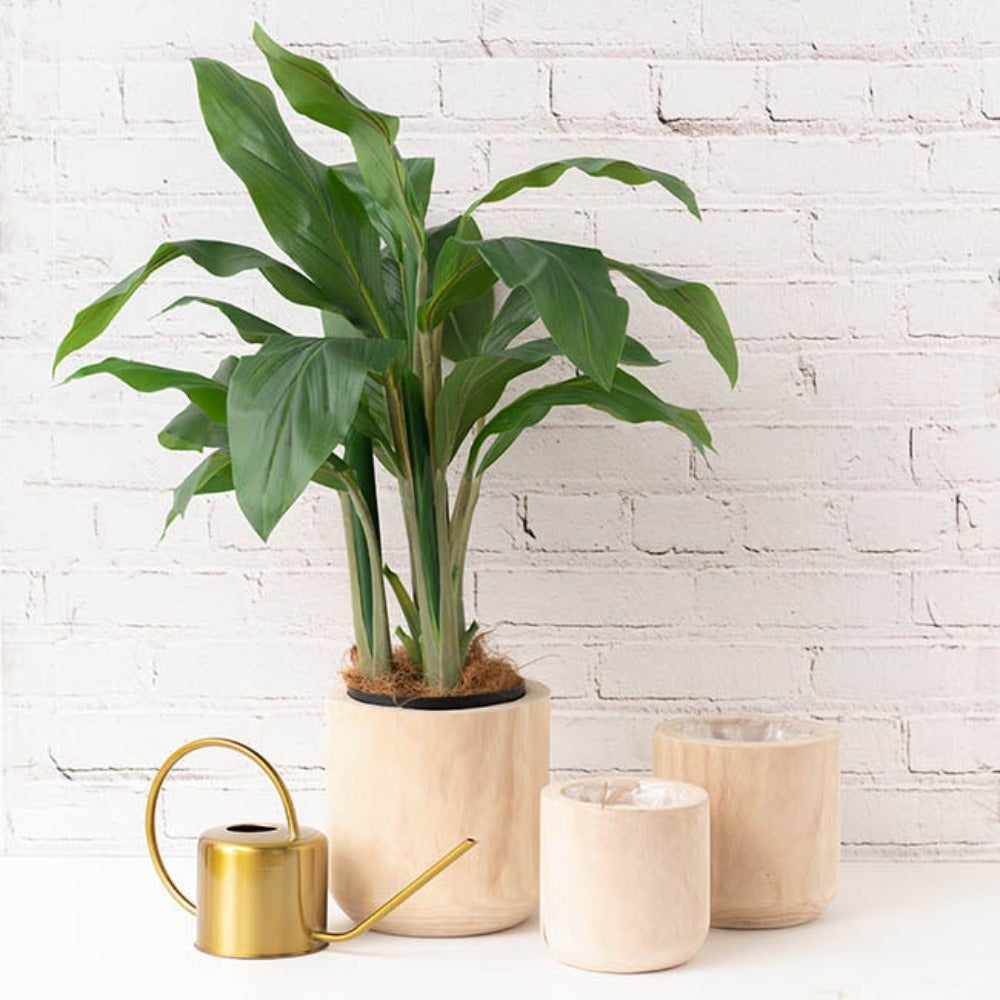 Set of 3 Wooden Cylinder Pot in Natural - Small - Notbrand