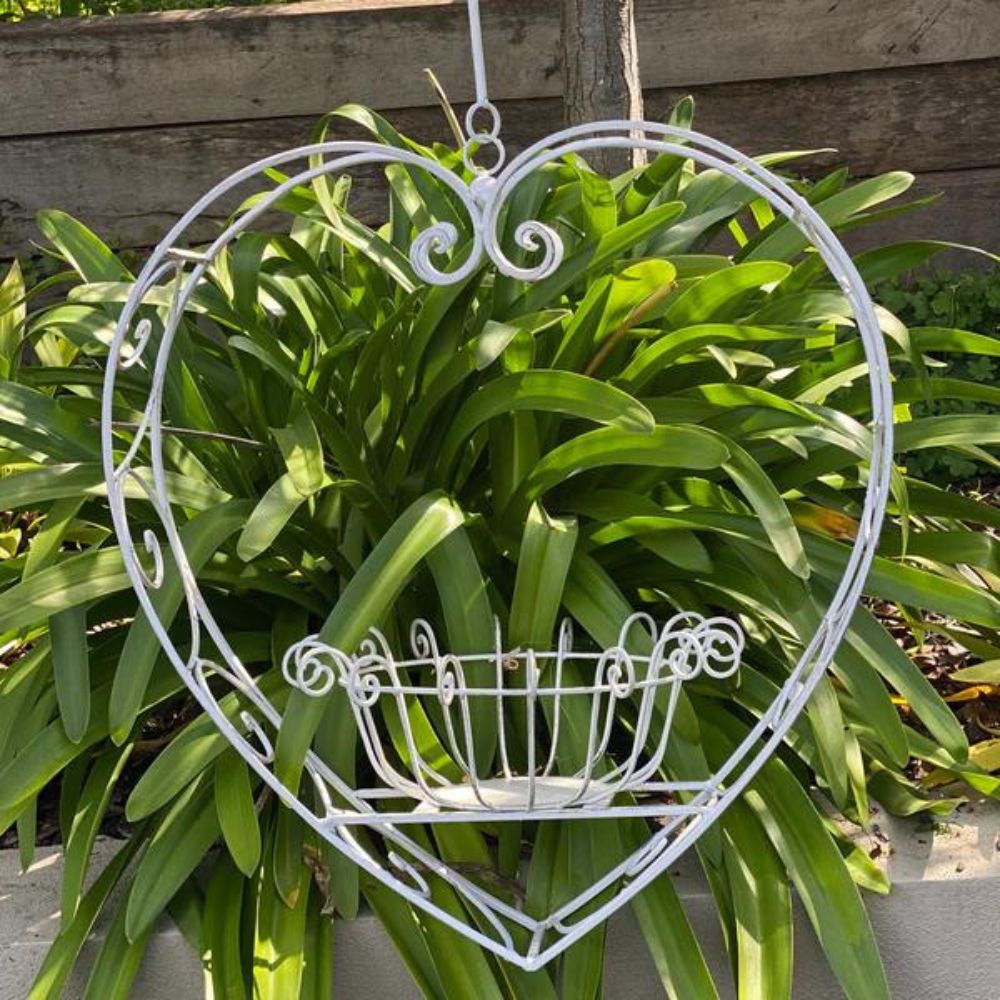 Wrought Iron Hanging Heart Pot Plant Candle Holder in Rustic Cream - Large - NotBrand